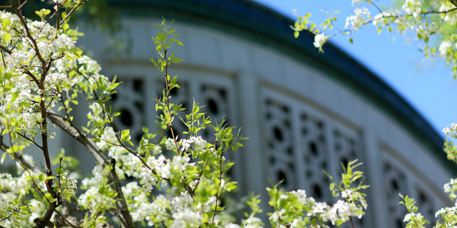 AG一飞冲天300倍游戏(中国游)·官方网站