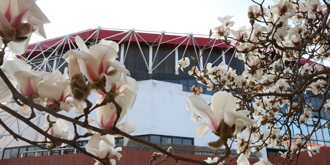 AG一飞冲天300倍游戏(中国游)·官方网站