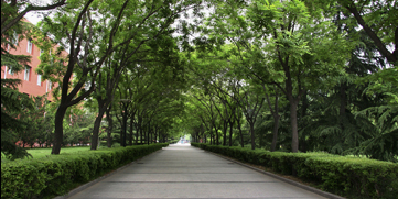 AG一飞冲天300倍游戏(中国游)·官方网站