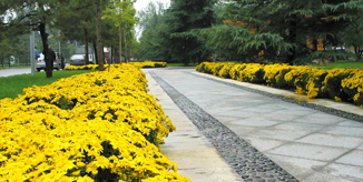 AG一飞冲天300倍游戏(中国游)·官方网站