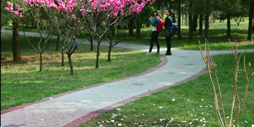 AG一飞冲天300倍游戏(中国游)·官方网站