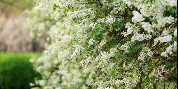 AG一飞冲天300倍游戏(中国游)·官方网站