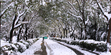 AG一飞冲天300倍游戏(中国游)·官方网站