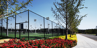 AG一飞冲天300倍游戏(中国游)·官方网站