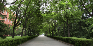 AG一飞冲天300倍游戏(中国游)·官方网站