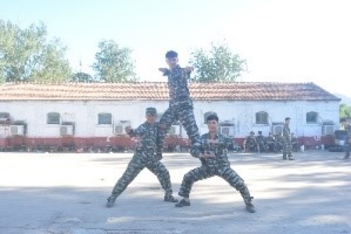 2dda32dda2304f2f9b9040a7574db9c6