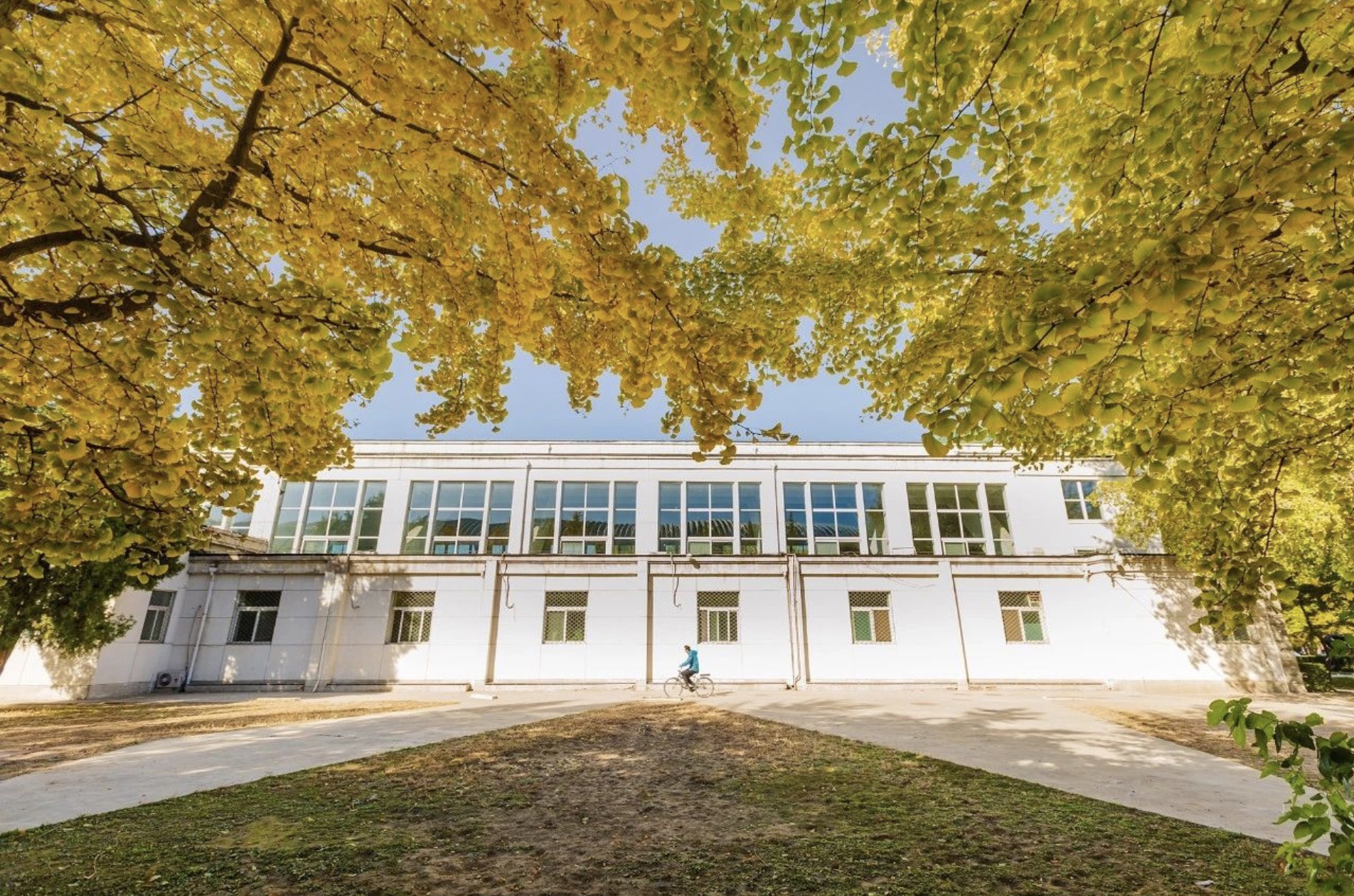 AG一飞冲天300倍游戏(中国游)·官方网站