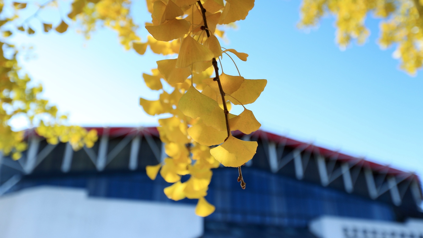 AG一飞冲天300倍游戏(中国游)·官方网站