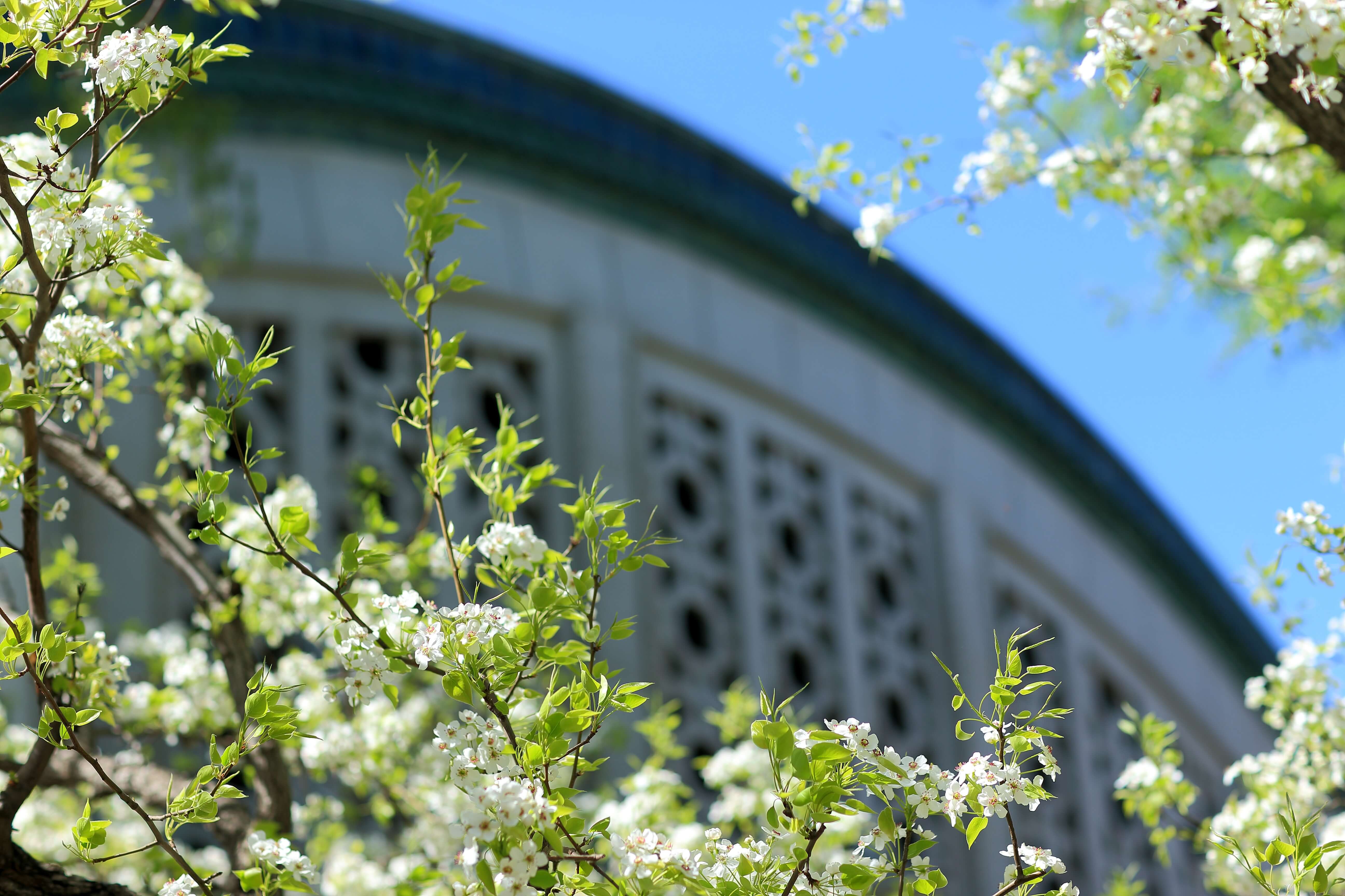 AG一飞冲天300倍游戏(中国游)·官方网站