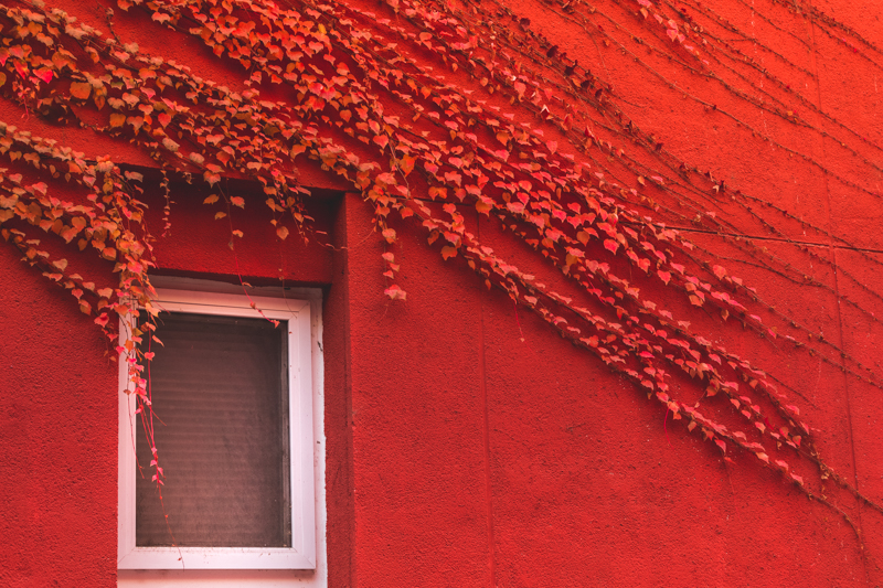 AG一飞冲天300倍游戏(中国游)·官方网站