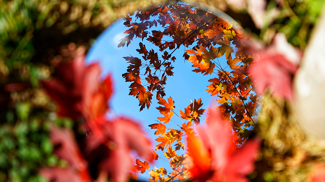 AG一飞冲天300倍游戏(中国游)·官方网站