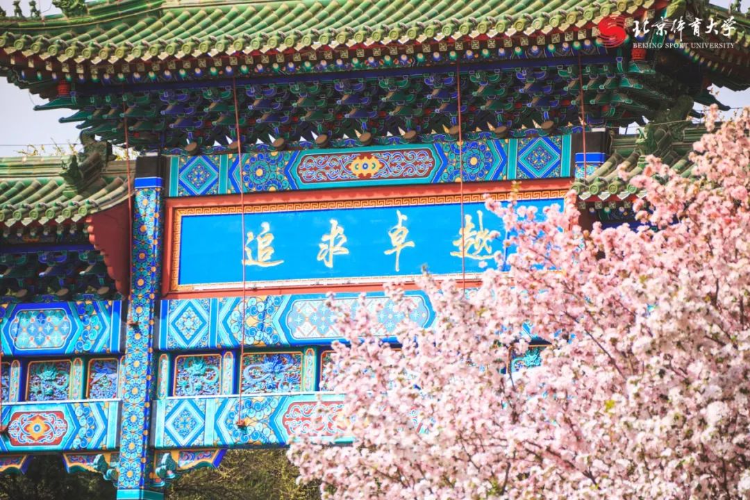 AG一飞冲天300倍游戏(中国游)·官方网站