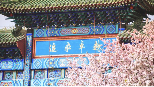 AG一飞冲天300倍游戏(中国游)·官方网站