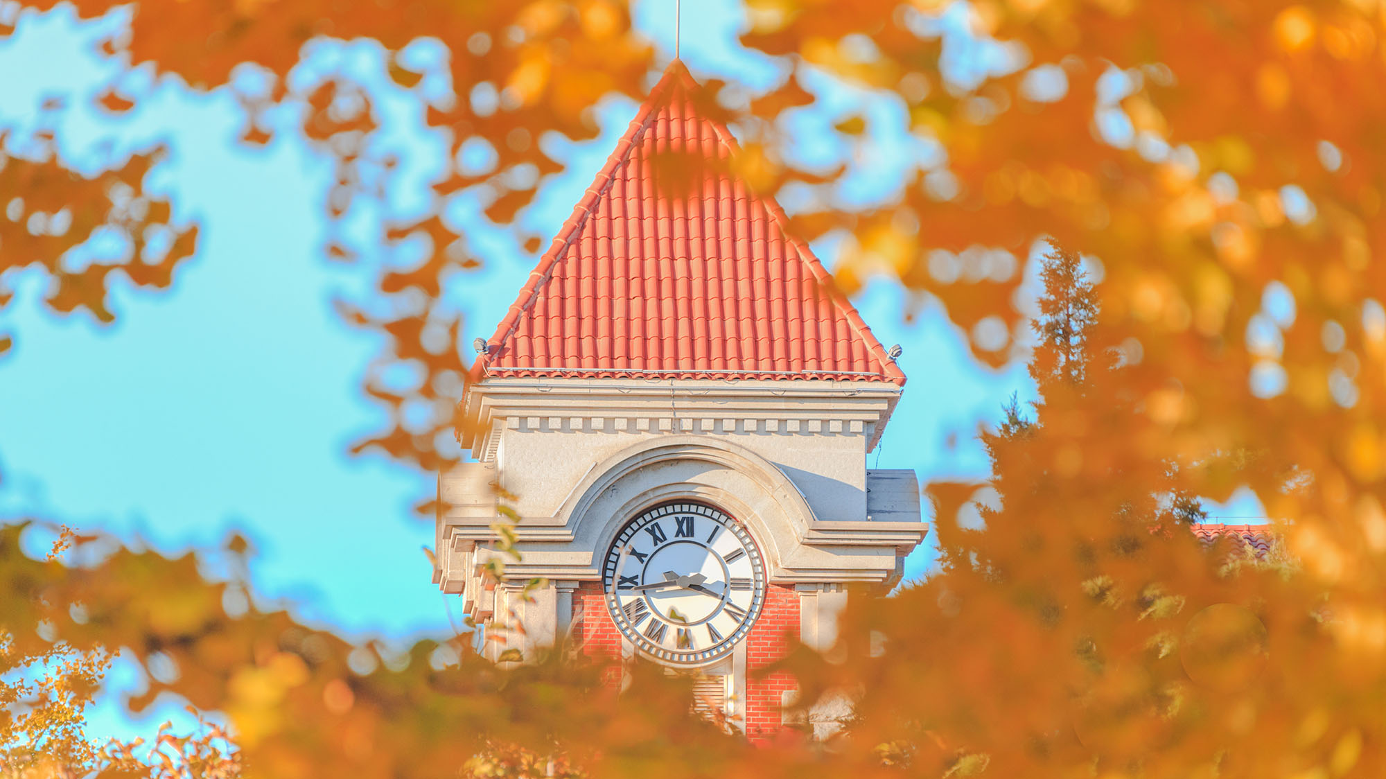 AG一飞冲天300倍游戏(中国游)·官方网站