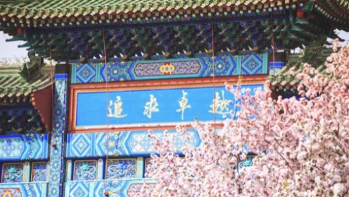 AG一飞冲天300倍游戏(中国游)·官方网站