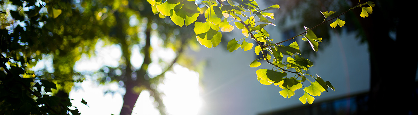 AG一飞冲天300倍游戏(中国游)·官方网站